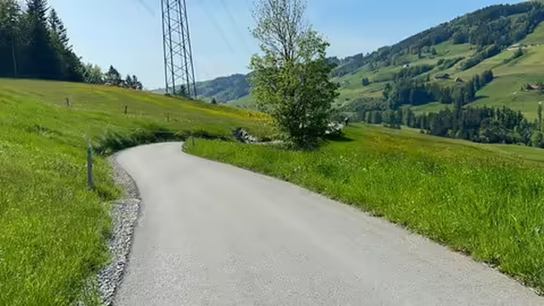 Ein 13-jähriger Mountainbiker stürzte in Eggerstanden und wurde von der Rega geborgen. Verletzungen am Gesicht.