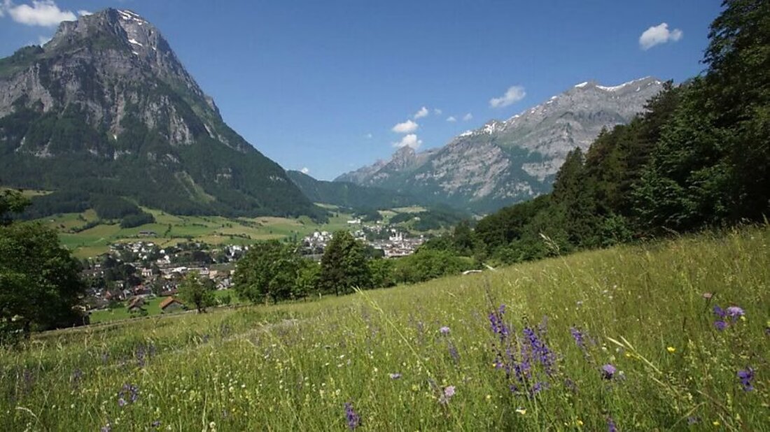 Der Kanton Glarus eröffnet die Vernehmlassung zur Biodiversitätsstrategie, um Artenvielfalt und Lebensräume bis Februar 2025 zu sichern.