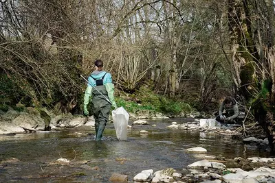 Freiburgs neue Umweltstrategien: Fortschritte und Herausforderungen!