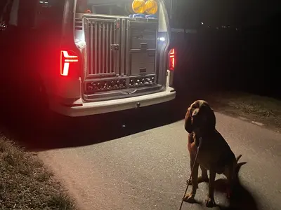 Junge Männer in Grüsch festgenommen: Mit gestohlenem Auto auf der Flucht!