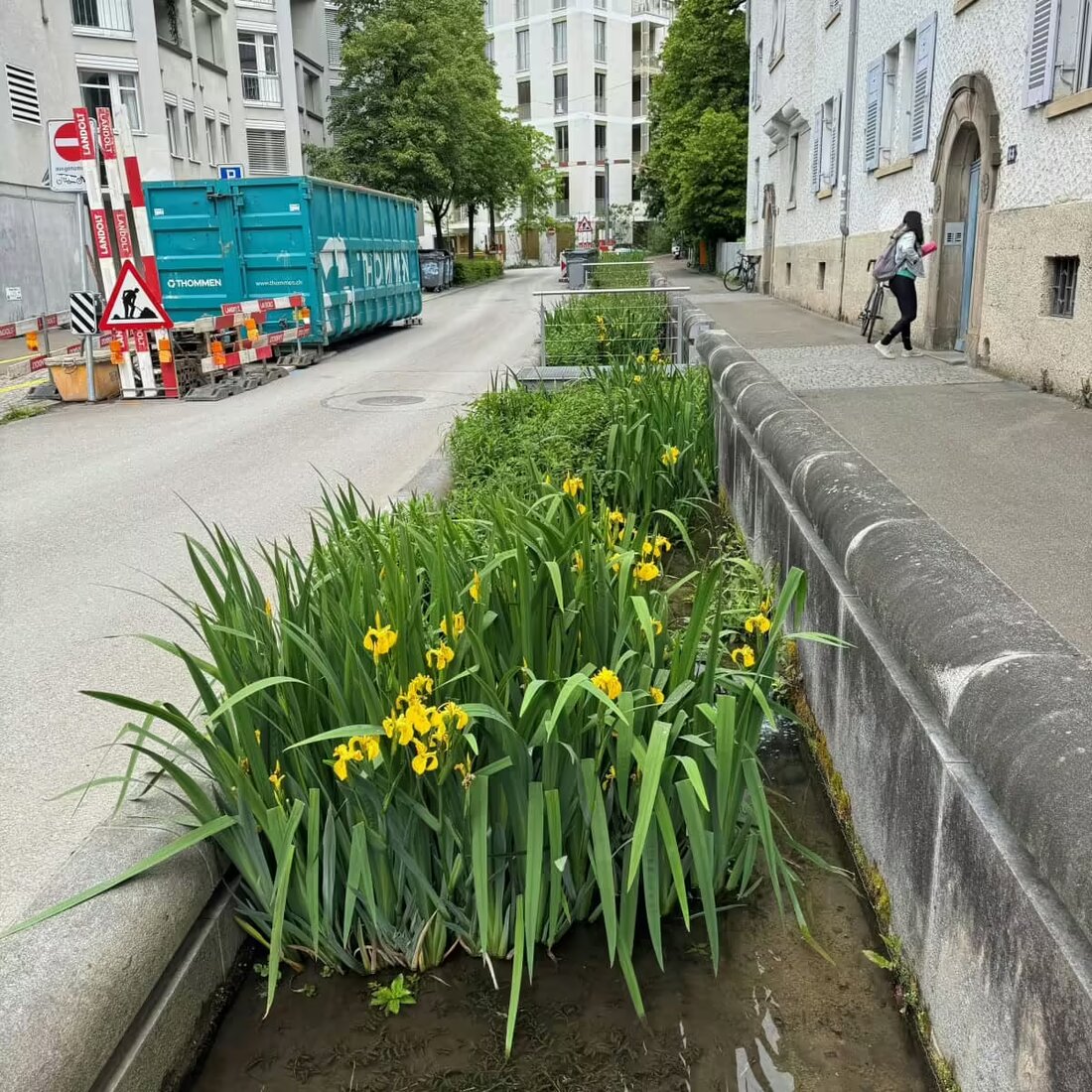Der Aargauer Naturpreis 2025 sucht innovative Projekte zur Förderung der Biodiversität und Klimaanpassung. Eingaben bis Oktober 2024.