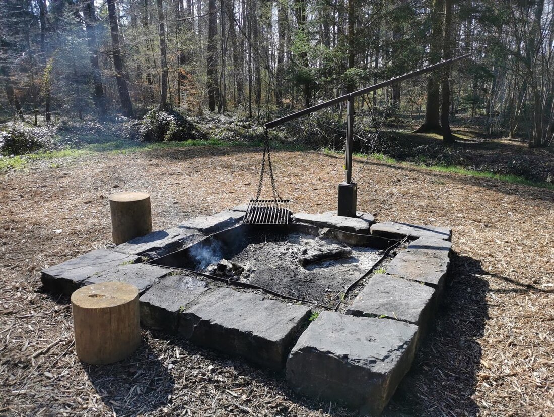 Informieren Sie sich über das richtige Verhalten zur Vermeidung von Waldbränden und die aktuellen Gefahrenstufen im Wald.