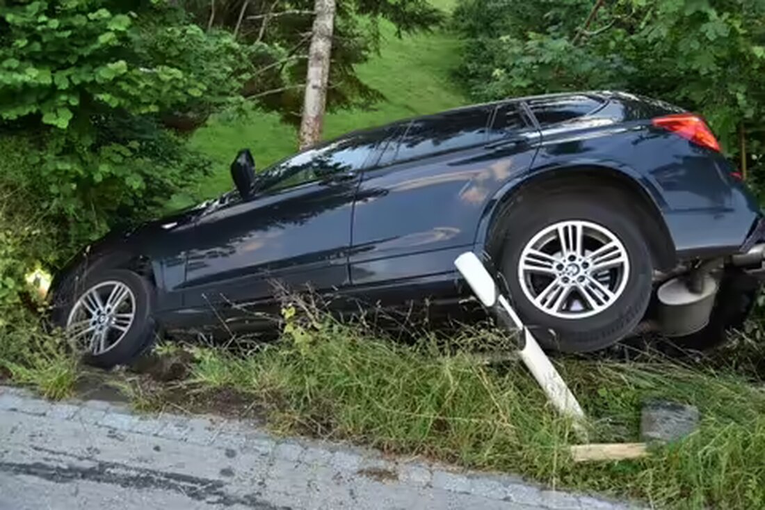 Ein alkoholisierter Fahrer kam in Büriswilen von der Fahrbahn ab, kollidierte mit einem Holzstapel und verursachte Sachschaden.