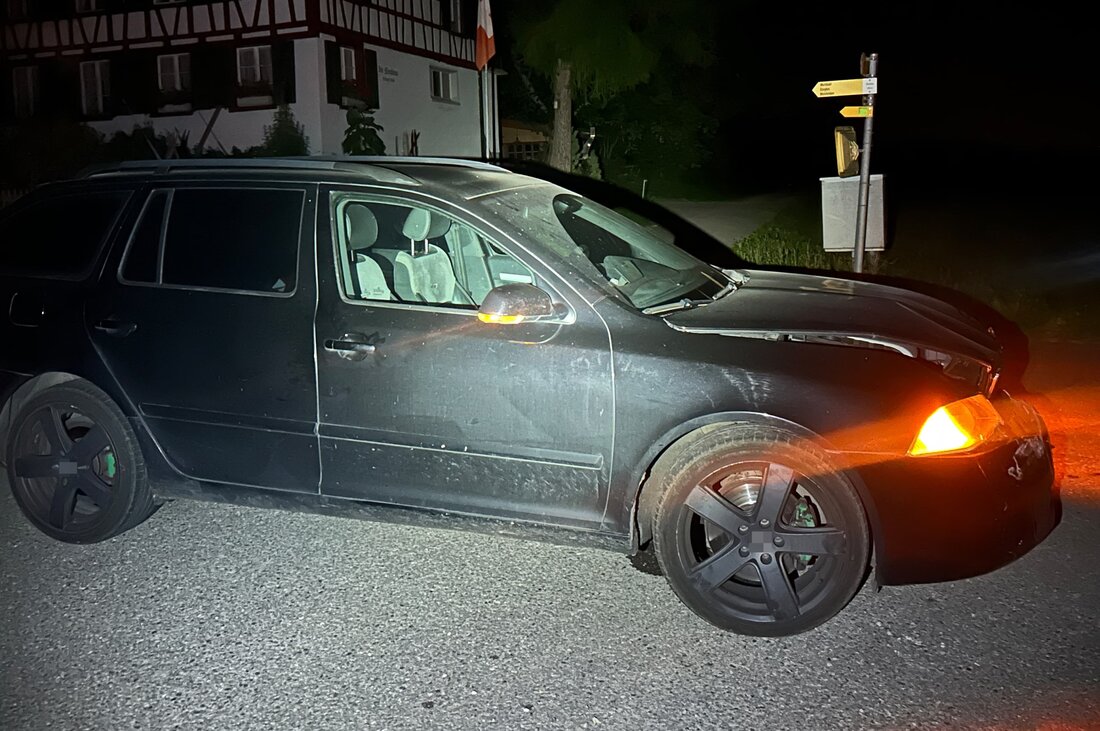 Ein alkoholisierter 45-Jähriger verursachte in Schönholzerswilen eine Auffahrkollision. Der Führerausweis wurde entzogen.