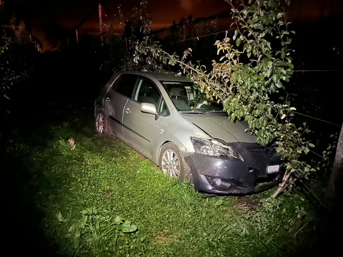 Ein alkoholisierter Fahrer verursachte in Eschenz einen Selbstunfall mit hohem Sachschaden, blieb jedoch unverletzt.