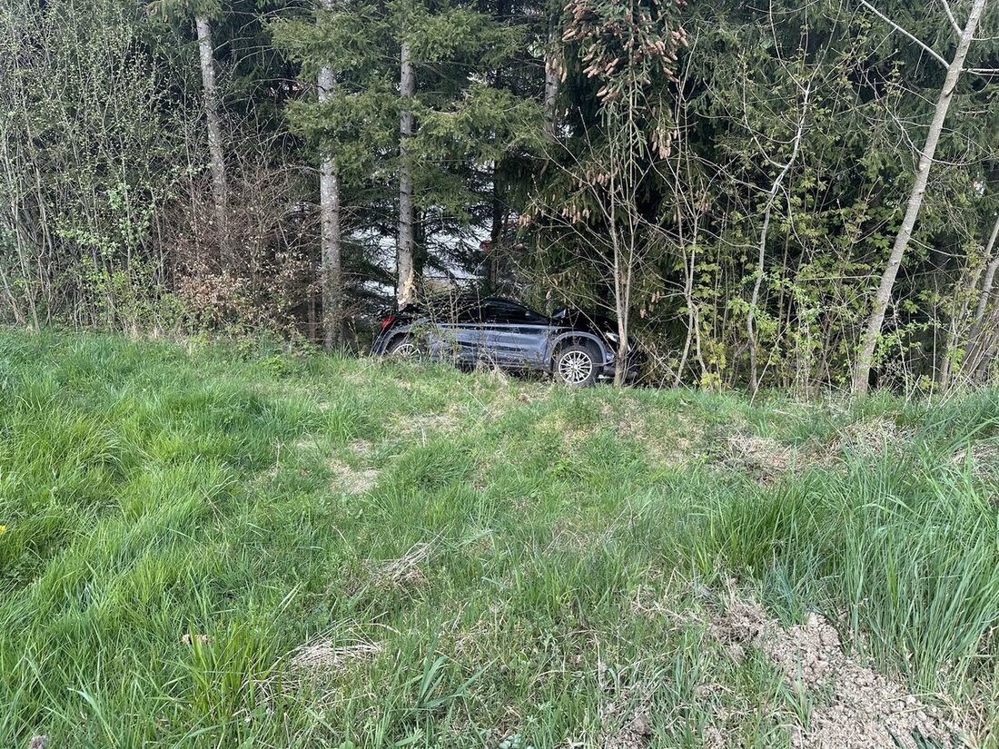 Am 16. April 2025 kam ein Auto in Walzenhausen von der Strasse ab. Der Lenker blieb unverletzt; Sachschaden entstand.