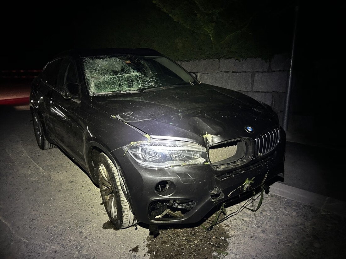 Ein BMW-Lenker überschlug sich in Rudolfstetten-Friedlisberg und landete im Maisfeld. Glücklicherweise blieben Fahrer und Passagiere unverletzt. Ermittlungen laufen.