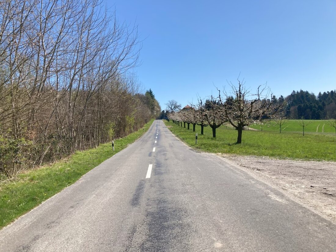 Ab 12. Mai 2025 ist die Landstrasse in Balzenwil bis Juli 2026 für den Durchgangsverkehr gesperrt. Umfahrungen werden signalisiert.