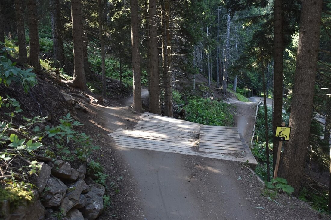 In Lenzerheide verstarb ein 54-jähriger Mountainbiker nach einem Sturz mit schweren Kopfverletzungen. Polizei ermittelt.