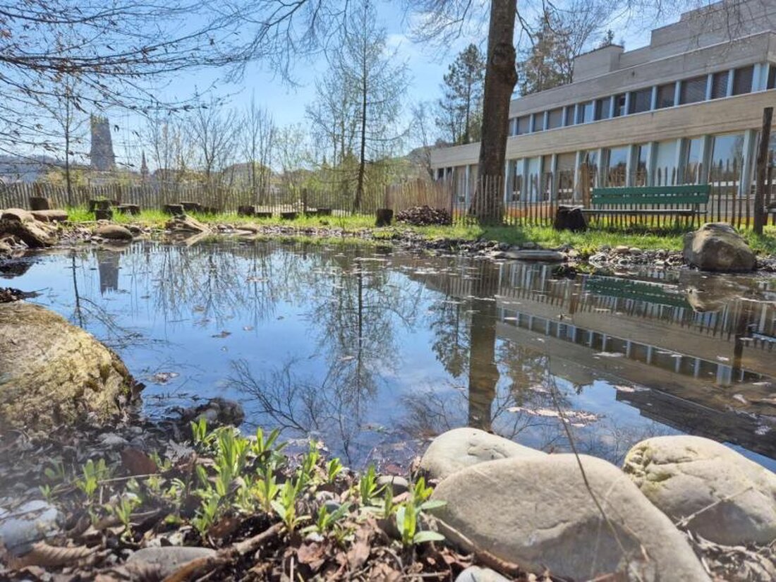 Das WNA und NHMF erweitern ab 2025 die Subventionen zur Biodiversitätsförderung in Gemeinden des Kantons Freiburg.