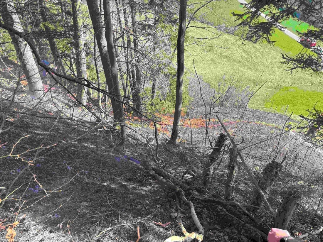 Bodenbrand in Ebnat-Kappel: Nach Pflanzenverbrennung gerät Waldboden in Brand. Feuerwehr verhindert schlimmeres.