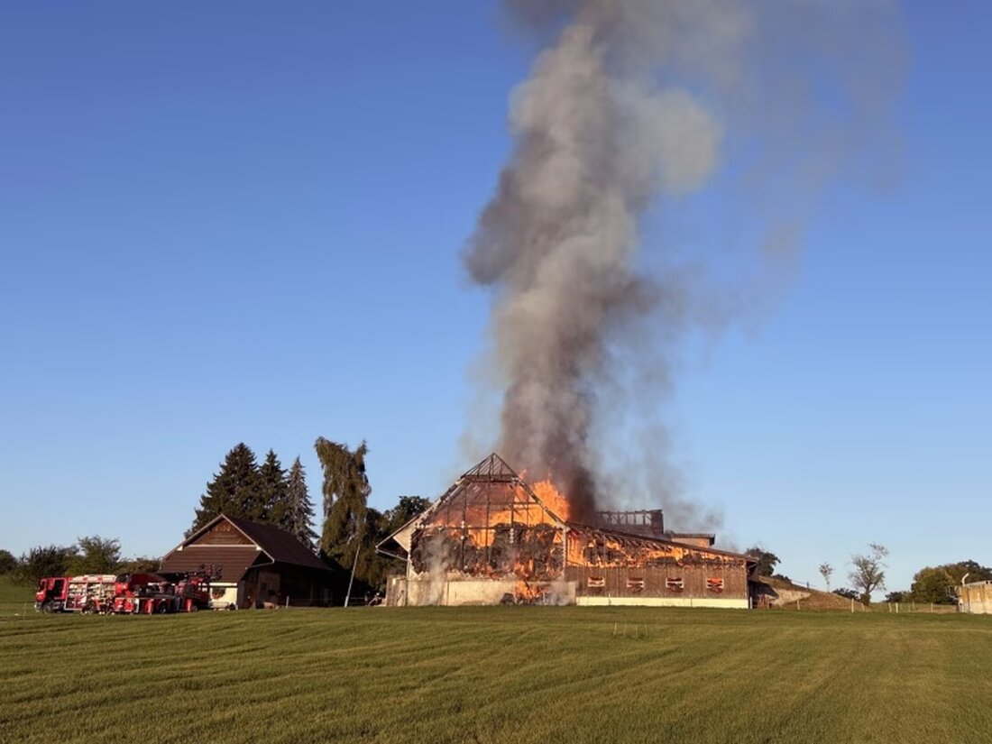 Bei einem Brand auf einem Bauernhof in Düdingen kamen am 26. August 2025 mehrere Tiere ums Leben. Die Feuerwehr verhinderte Schlimmeres.