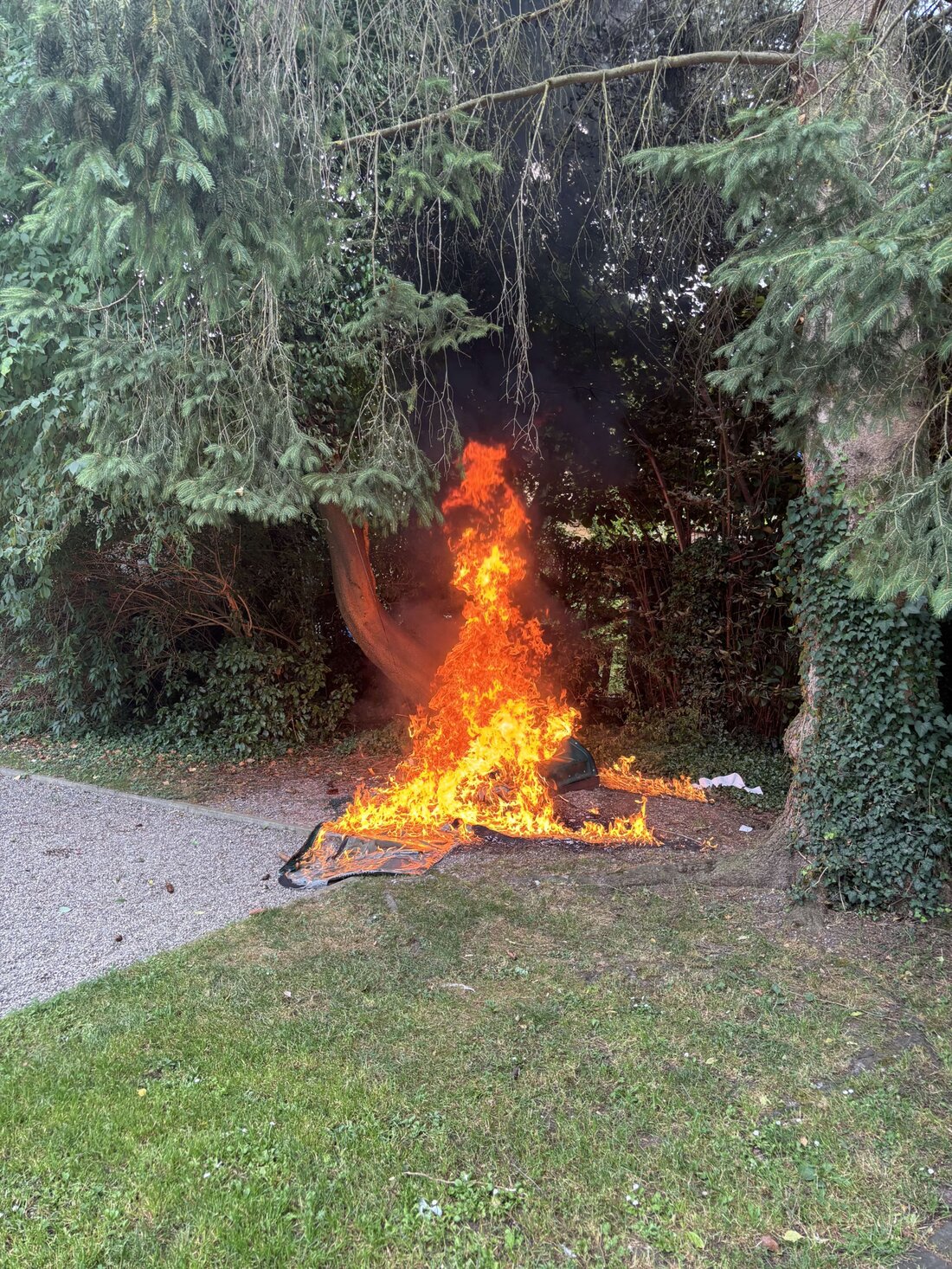 In Frauenfeld brannte am Montagnachmittag eine öffentliche Toilette, mutmaßlich durch Brandstiftung. Sachschaden: 1.000 Franken.