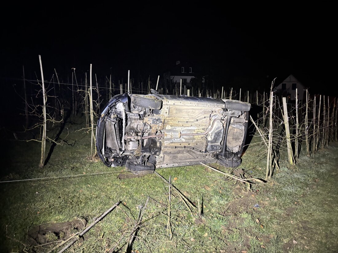 Ein 18-jähriger Fahrer verlor in Warth die Kontrolle, touchierte ein Auto und landete in einer Obstanlage. Glücklicherweise gab es keine Verletzten.