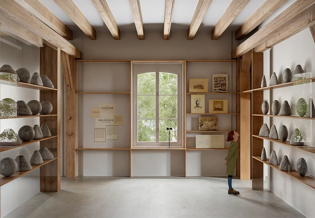 Drei Teams gestalten die Dauerausstellung des Naturhistorischen Museums Freiburg, Eröffnung 2028. Innovative Konzepte für spannende Erlebnisse.