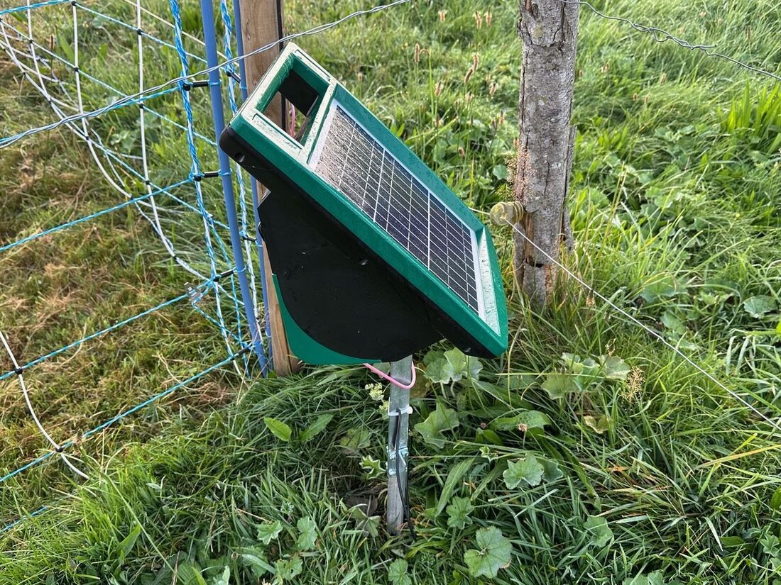 Unbekannte haben zwischen dem 9. und 11. September 2025 in Appenzell Viehhüteapparate gestohlen. Polizei warnt vor erhöhten Risiken.