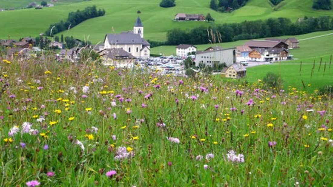 Appenzell I.Rh. sucht die schönsten Wiesen! Bäuerinnen und Bauern können sich bis 30. April 2025 anmelden. Preisverleihung am 6. September 2025.