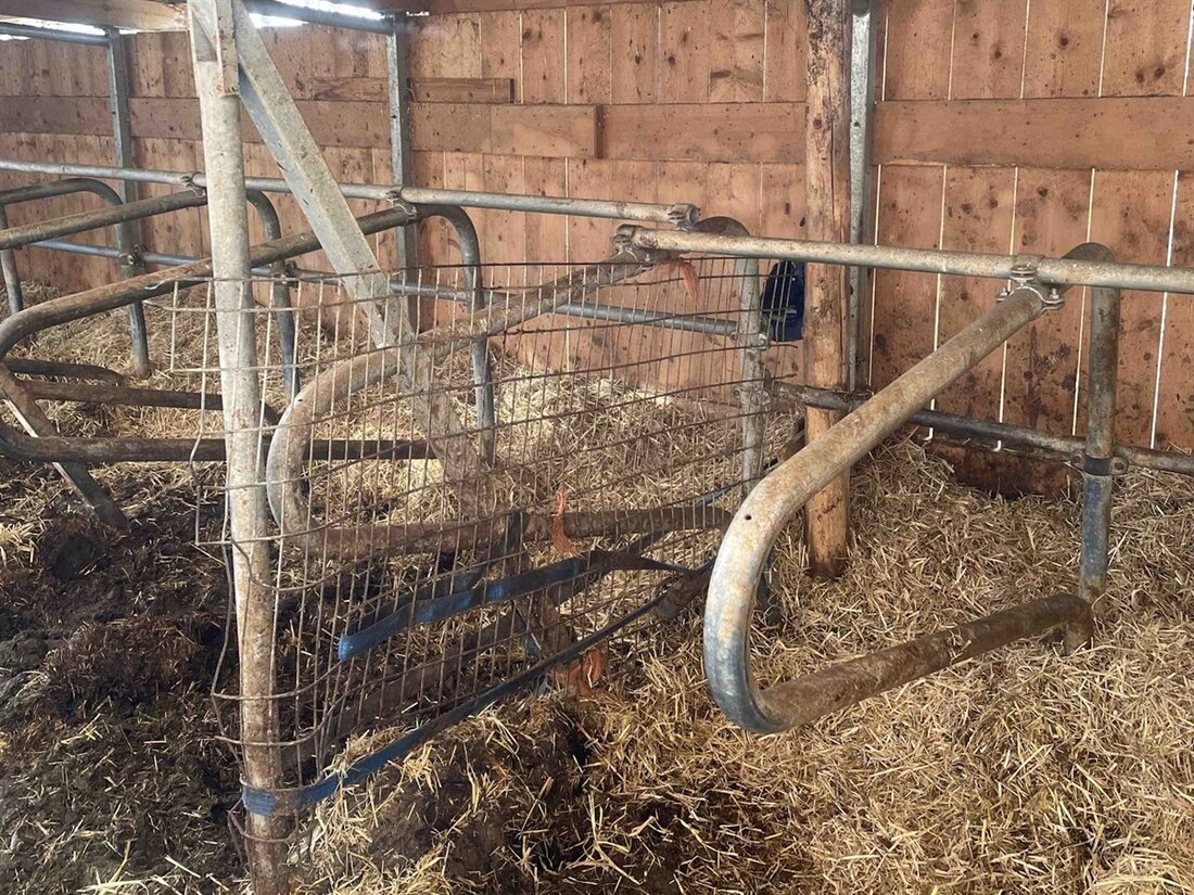 In Pusserein wurde ein 61-jähriger Landwirt von einem Stier schwer verletzt. Er wurde ins Kantonsspital geflogen.