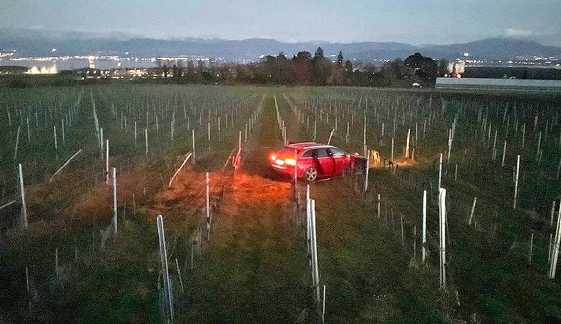 Am 12. März 2025 wurden in Le Vaud vier Verdächtige nach einem versuchten Einbruch festgenommen, nachdem sie mit der Polizei in eine Verfolgungsjagd verwickelt waren.