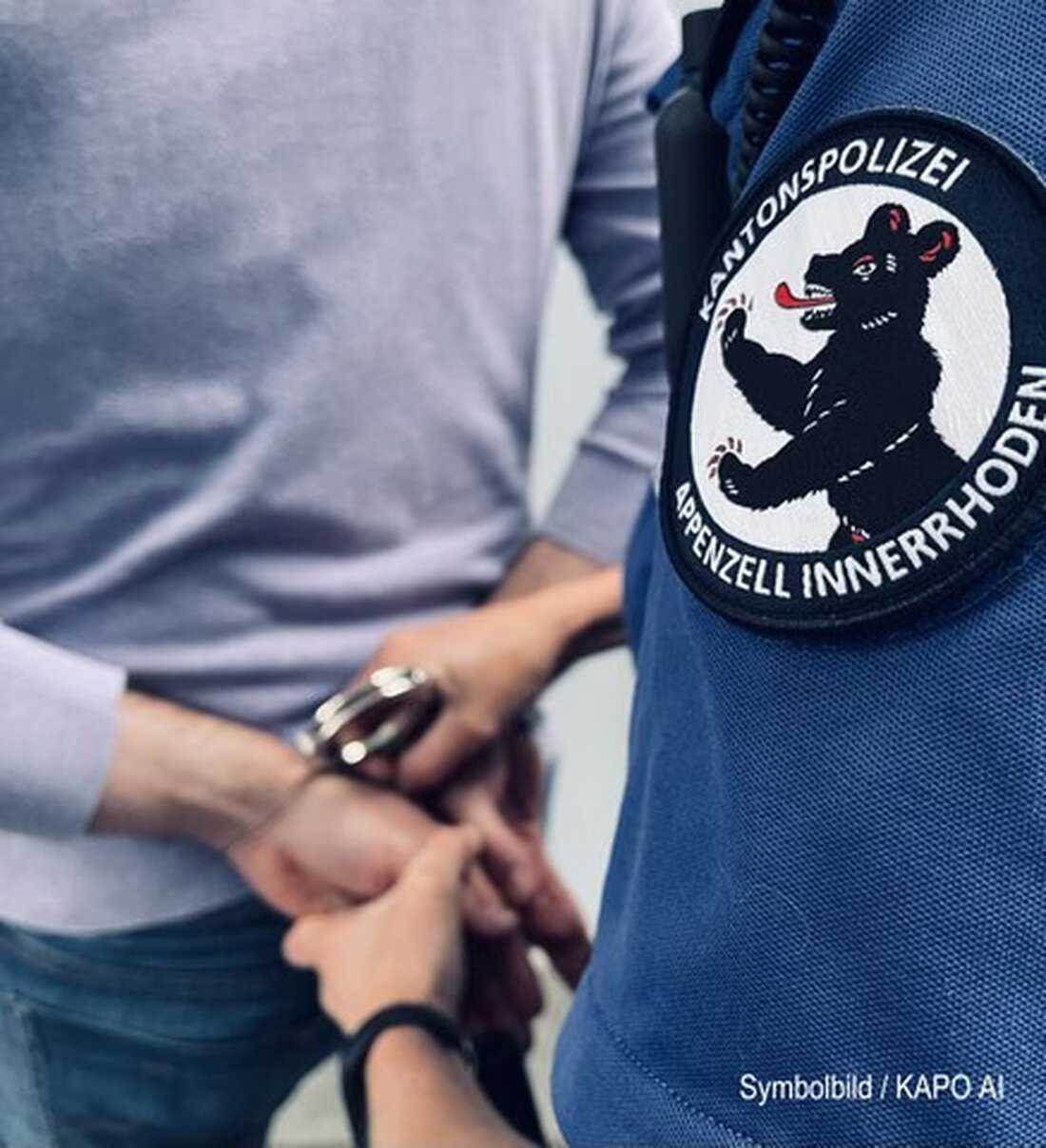 Drei mutmaßliche Diebe wurden nach einem Einbruch in Appenzell festgenommen. Die Polizei sucht weitere Zeugen und Hinweise.