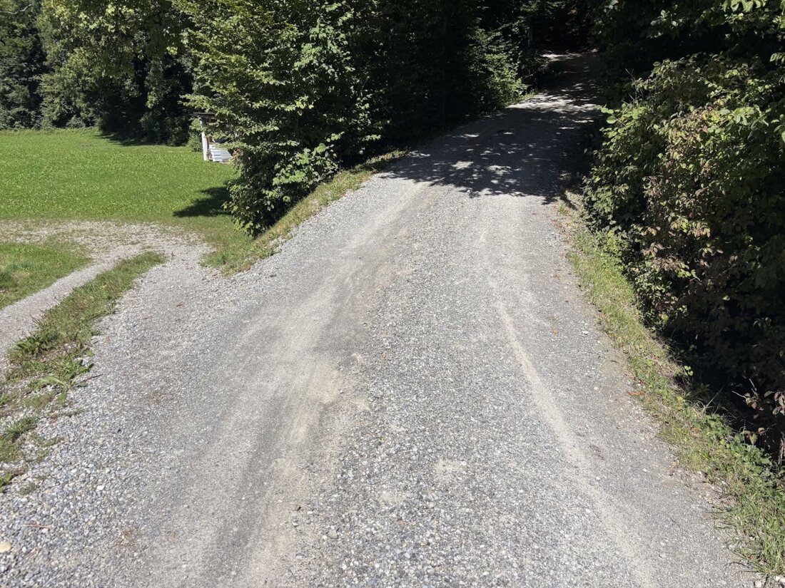 Am Sonntag kam es in Niederglatt zu einem E-Bike-Unfall, bei dem ein 66-Jähriger leicht verletzt wurde.