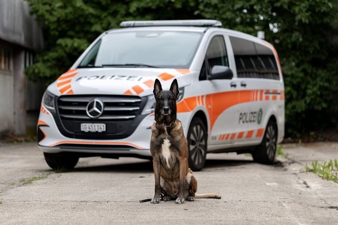 Am 04.11.2025 verhinderten Polizei und Diensthund einen Fahrzeugdiebstahl in Rapperswil-Jona. Zwei Einbrecher wurden festgenommen.