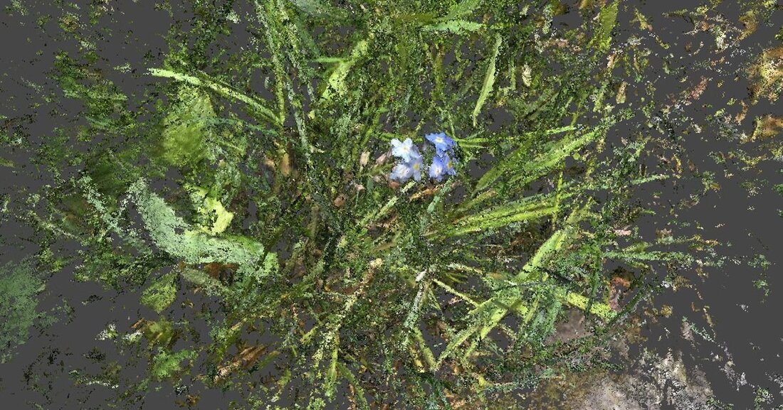 Eröffnen Sie am 15. Juli 2025 die Ausstellung «Insights» von Sara Liz Marty im Verwaltungszentrum Zug – entdecken Sie kreative Identität und digitale Transformation.