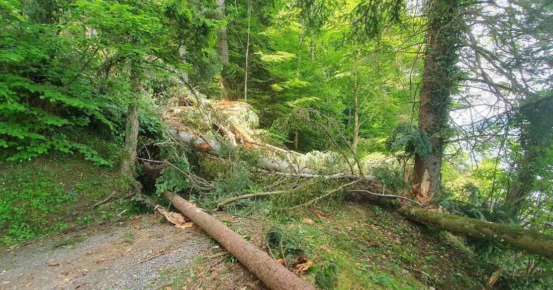 In Unterägeri sichern Sprengungen und Aufräumarbeiten die Felswand über dem Seeweg nach Felssturz. Weg gesperrt, Umleitung ausgeschildert.