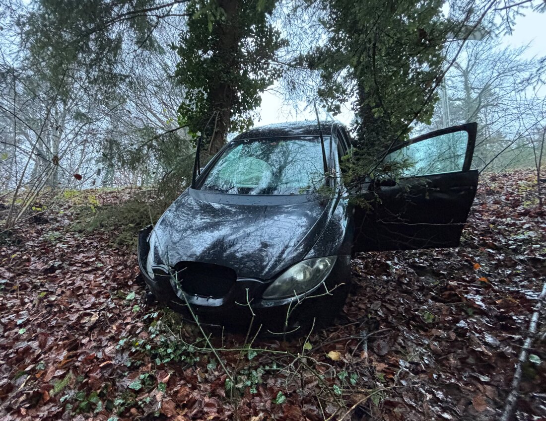 Ein 27-jähriger Autofahrer verursacht in Märstetten einen Selbstunfall, entfernt sich und wird später von der Polizei angetroffen.