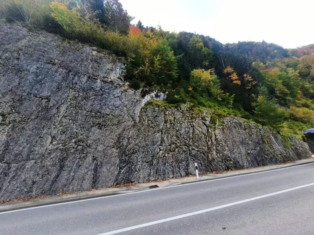 Erweiterung des Steinschlagschutznetzes zwischen Epagny und Enney in Saussivue: Baustelle vom 16. bis 25. Oktober 2024. Ampelregelung.