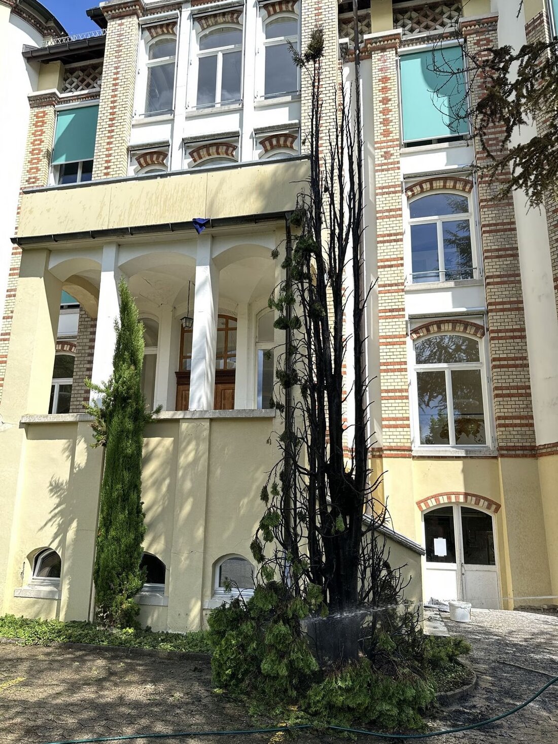 Am 27. Juni 2025 entzündete sich ein Thuja Baum in Herisau durch einen Gasbrenner. Feuerwehr eingreifen, kein Sachschaden.