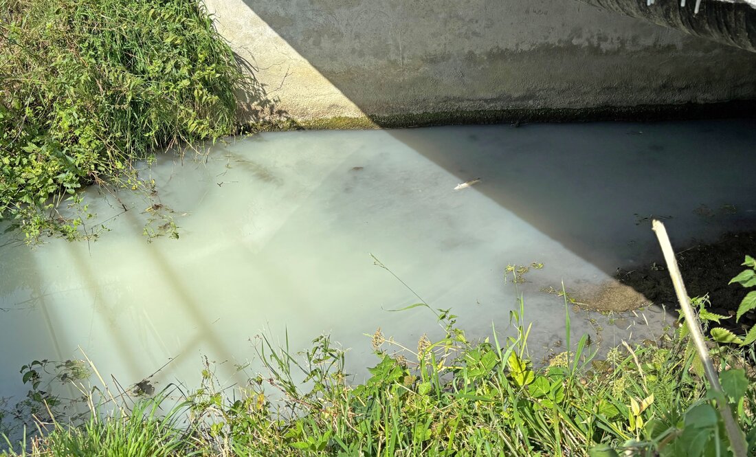 Nach einer Gewässerverschmutzung im Tobelbach in Erlen verendeten zahlreiche Fische. Feuerwehr und Polizei klären die Ursache.