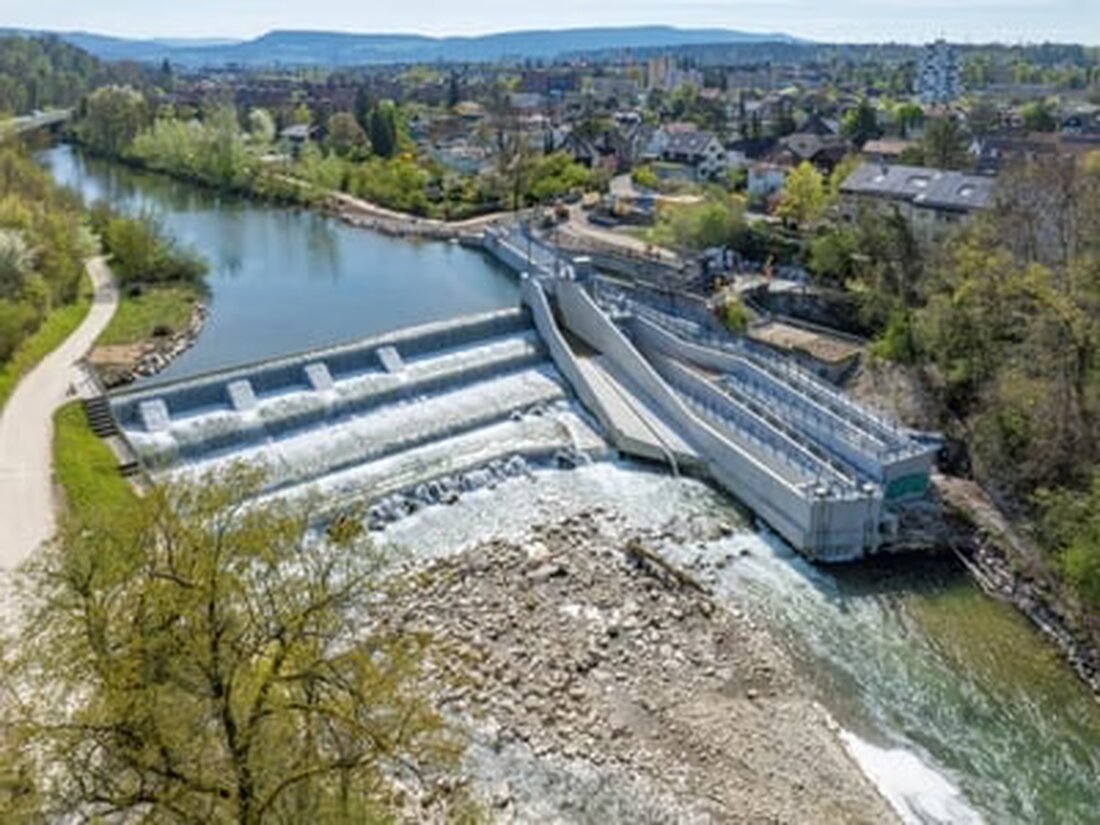 Nach Abschluss der Sanierung des Birswehrs und der neuen Fischtreppe beim Kraftwerk Neuewelt in Münchenstein verbessert sich die Fischgängigkeit in der Birs entscheidend.
