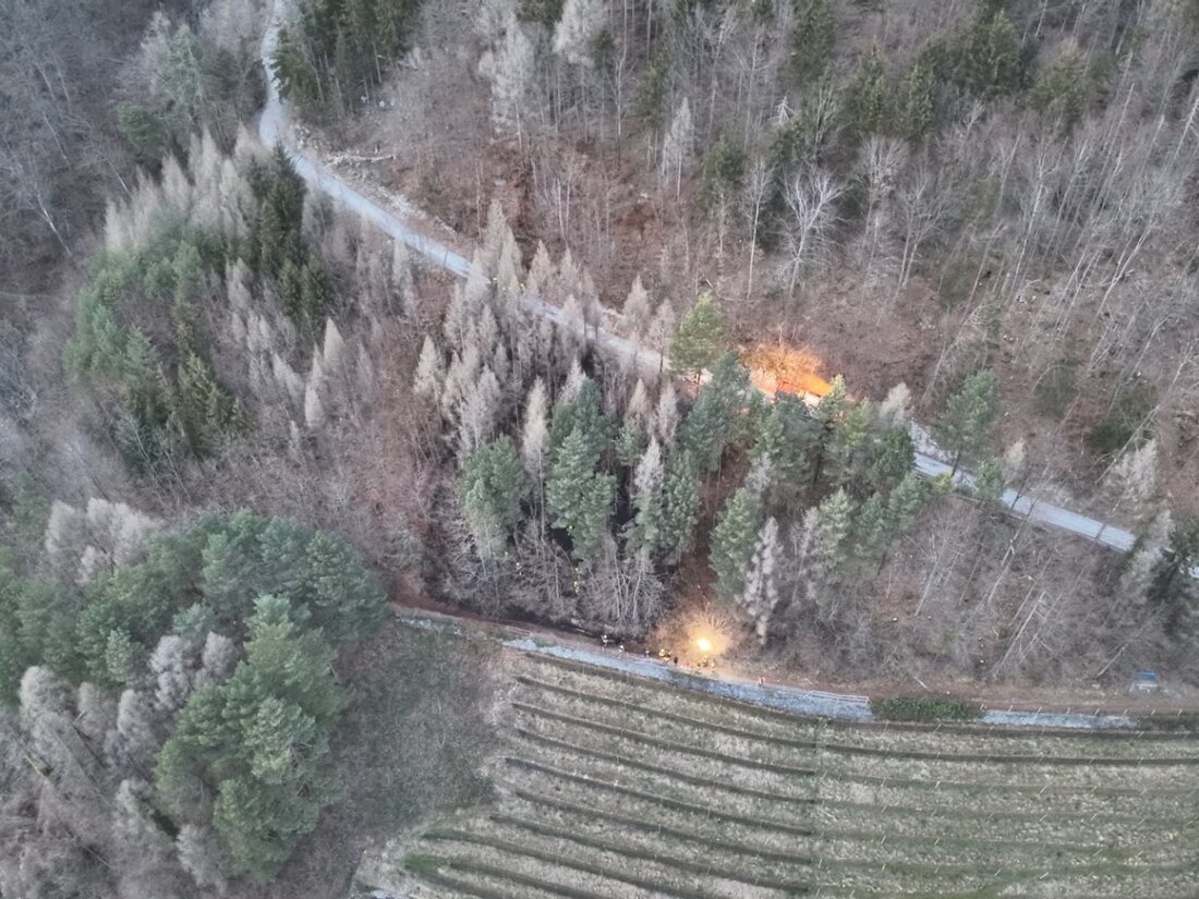 In Walenstadt brannte am 09.03.2025 ein Waldstück. Die Feuerwehr konnte den Flächenbrand rasch löschen, ohne Verletzte oder Schäden an Gebäuden.