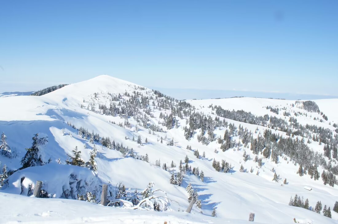 Ab 2025 plant der Kanton Freiburg die Erweiterung von Wildruhezonen, um Wildtiere zu schützen und Freizeitaktivitäten zu regulieren.