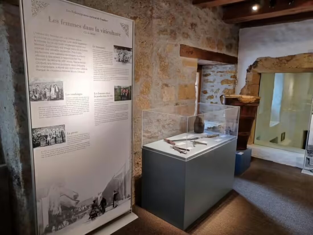 Schülerinnen und Schüler der OS Murten präsentieren die Rolle der Frauen im Weinbau und in der Gesellschaft in einer Ausstellung bis Dezember 2024.