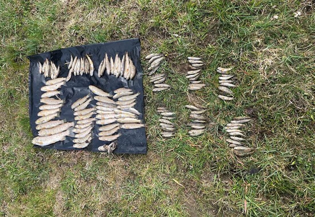Nach tödlichen Vorfällen im Tütschbach und Le Roule erinnert der Kanton an umweltgerechte Pflege im Außenbereich.