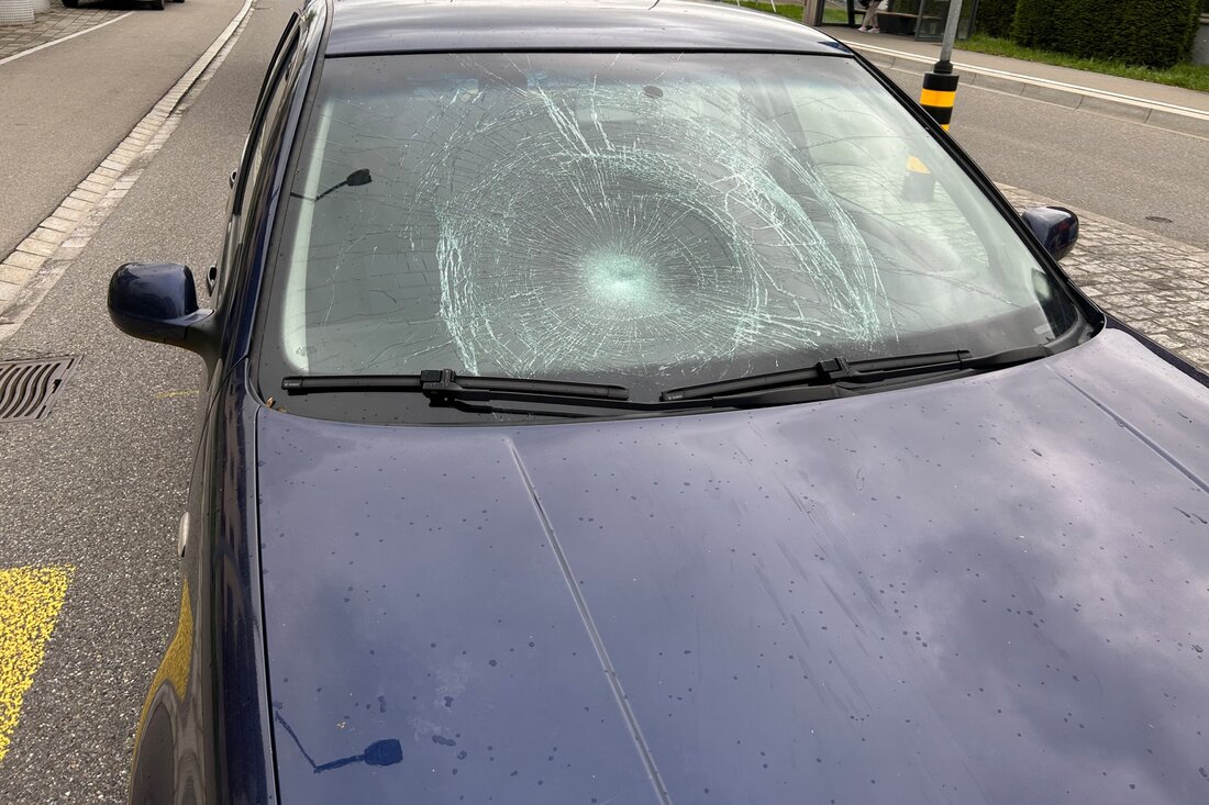 Eine Fussgängerin wurde in Arbon am Dienstagmorgen beim Überqueren eines Zebrastreifens von einem Auto erfasst und verletzt.