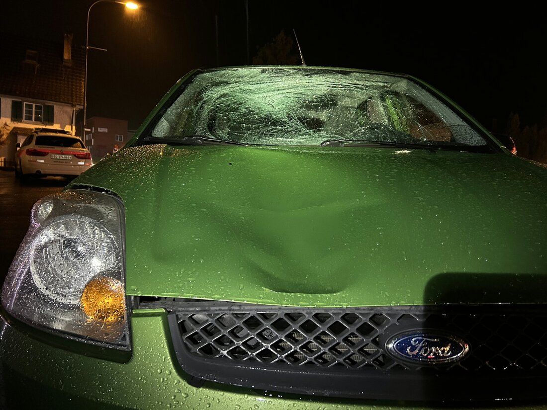 Eine Fussgängerin und ihr Hund wurden in Egnach von einem Auto erfasst. Die Verletzte musste ins Spital. Unfallursache wird untersucht.