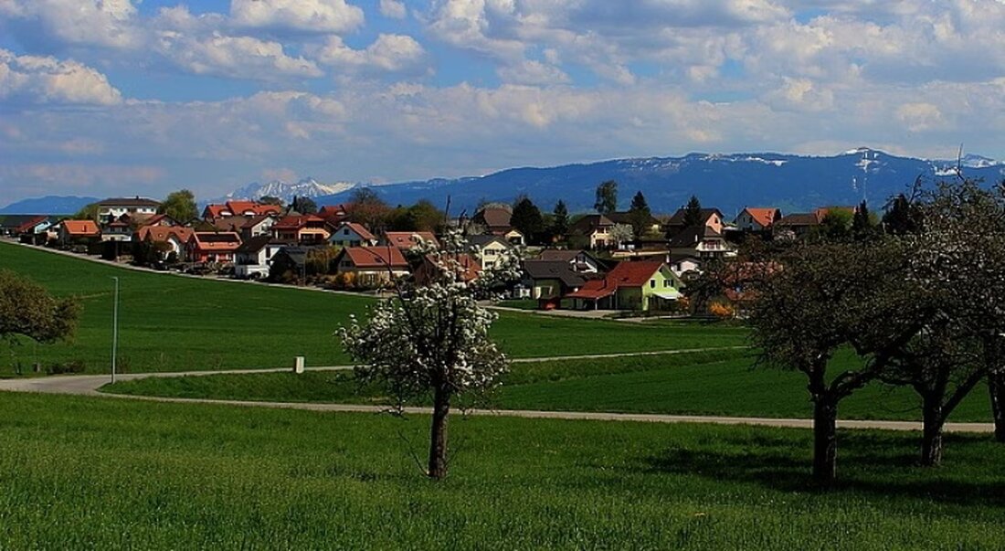 Die Administrativuntersuchung in Chénens zeigt gravierende Unregelmässigkeiten im Gemeindebetrieb und empfiehlt Fusionsüberlegungen.