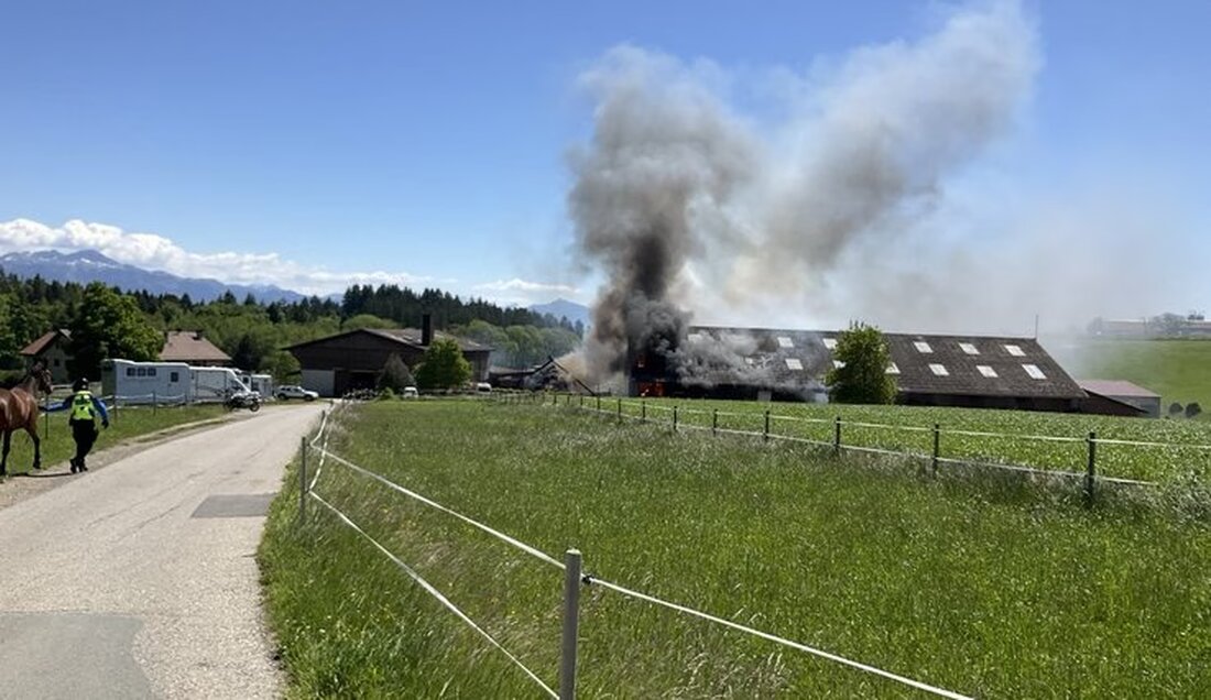 Am 16.05.2025 brach in einem Pferdestall in Mont-sur-Lausanne ein technischer Brand aus. Glücklicherweise gab es keine Verletzten.