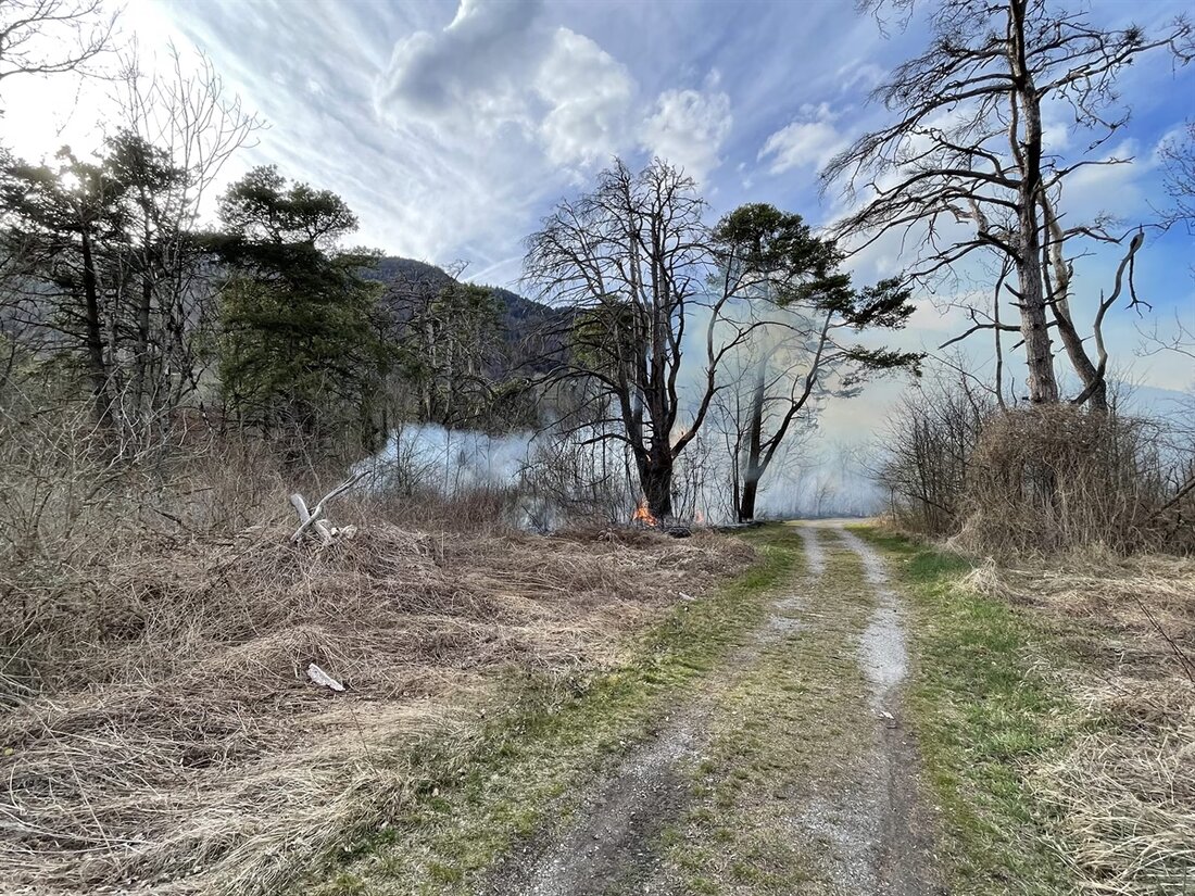 In Zizers gab es am Samstagnachmittag einen Waldbrand mit einem größeren Feuerwehreinsatz. 24 Einsatzkräfte kontrollierten das Feuer, verursacht durch weggeworfene Raucherware.