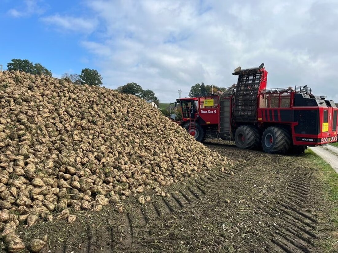 Im Praxistest bestätigt HVO100-Diesel seine Eignung für die Landwirtschaft. Er bietet emissionsarme Nutzung ohne Leistungseinbußen.