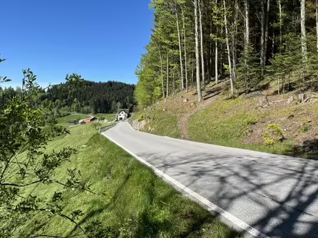 Ab 21. Mai 2024 wird die Haggenstrasse in Oberegg saniert. Die Arbeiten umfassen Bankettsicherung und Felsabtrag bis September.