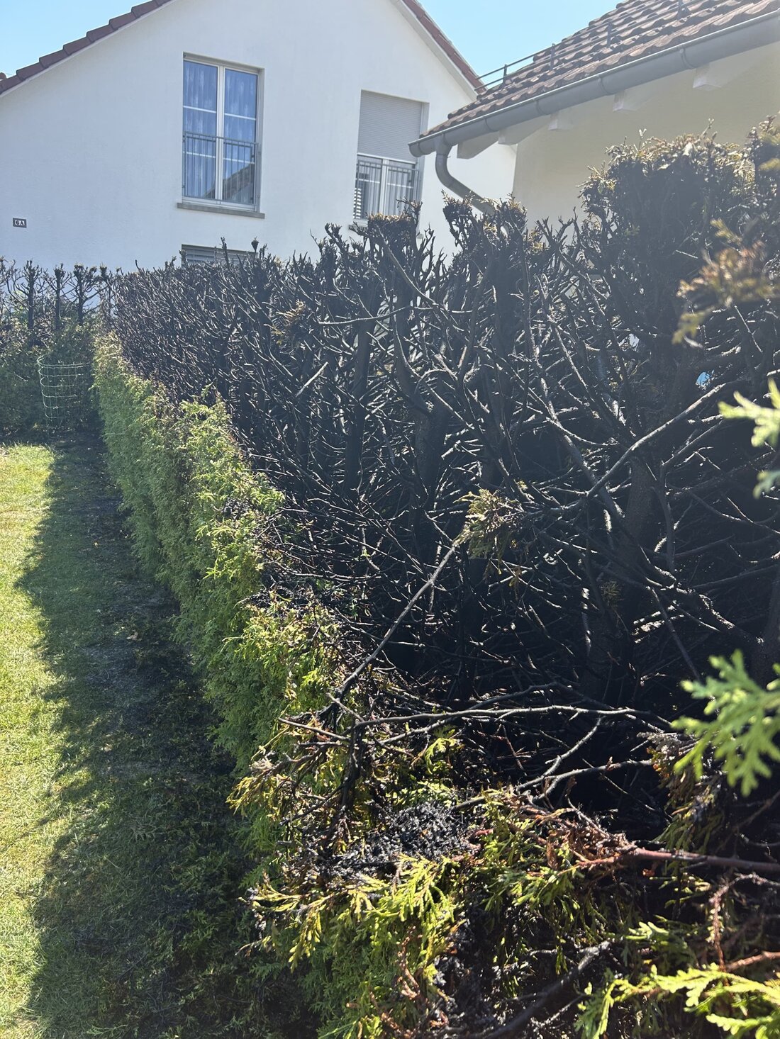 In Felben-Wellhausen geriet eine Hecke beim Abflammen in Brand. Die Kantonspolizei Thurgau warnt vor Gefahren in der Trockenheit.