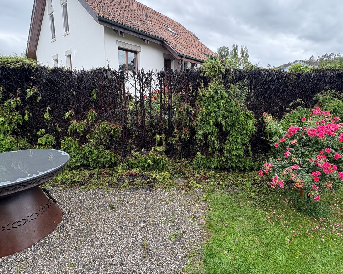 In Roggwil geriet eine Hecke in Brand, als ein 72-Jähriger Unkraut abflammte. Feuerwehr löschte rasch, Sachschaden: mehrere hundert Franken.