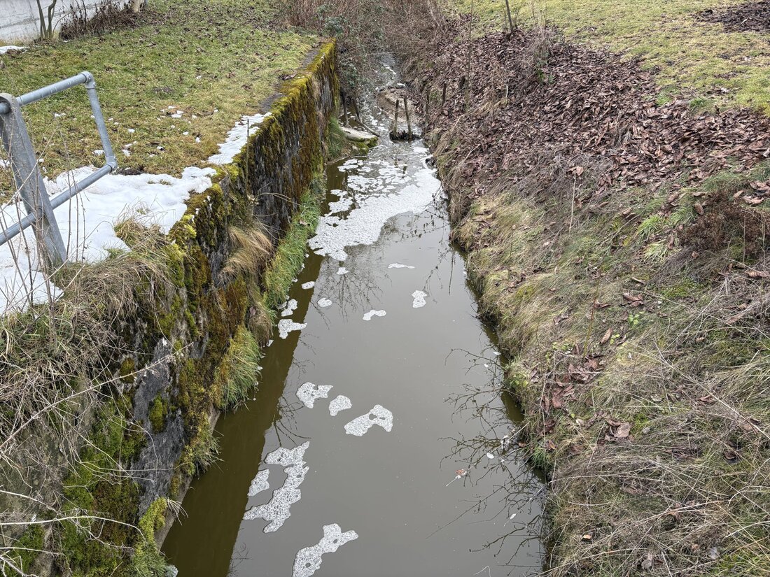 In Schönholzerswilen kam es zu Fischsterben nach Jaucheeinleitung in einen Bach. Einsatzkräfte ermitteln die Ursache und Maßnahmen.