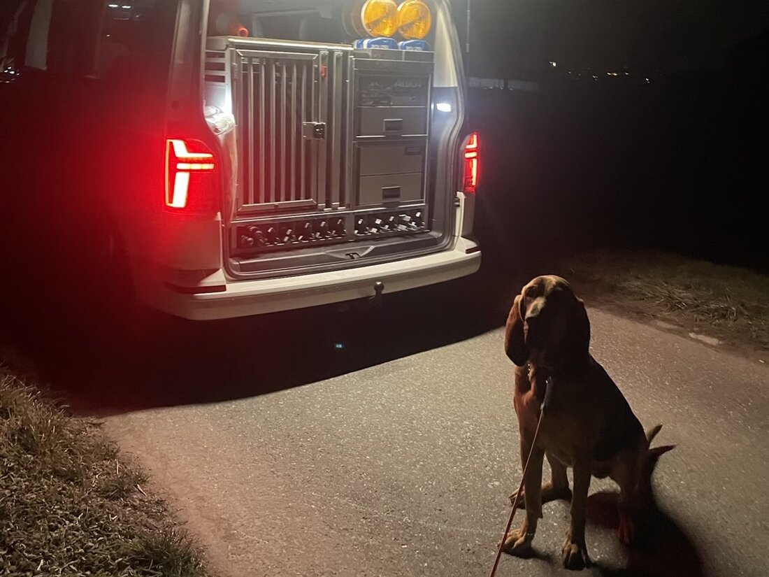 In Grüsch wurden zwei junge Männer festgenommen, nachdem sie mit einem gestohlenen Auto aus Uznach geflohen waren.