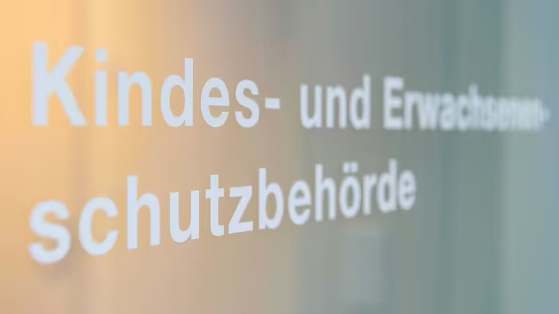 Am 5. November 2024 verabschiedete der Regierungsrat Gesetzesänderungen zur Digitalisierung bei der KESB, die bis 1. Juli 2025 inkrafttreten sollen.