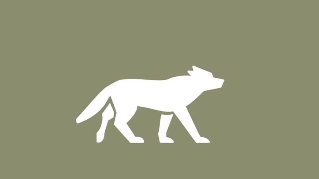 Ein verletztes Rind wurde am 26. Juli 2025 auf der Alp Unter Friiteren gefunden. Wildhut bestätigt Wolfsangriff.